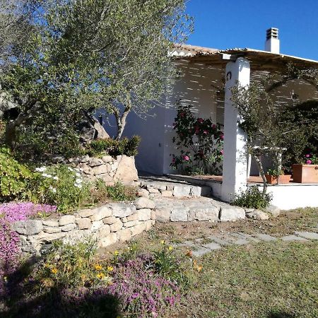 Agriturismo La Valletta Hotell Santa Teresa Gallura Eksteriør bilde