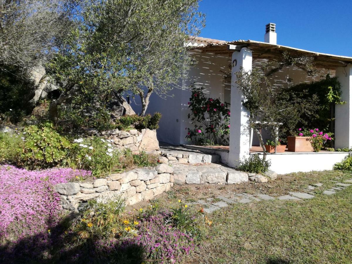 Agriturismo La Valletta Hotell Santa Teresa Gallura Eksteriør bilde