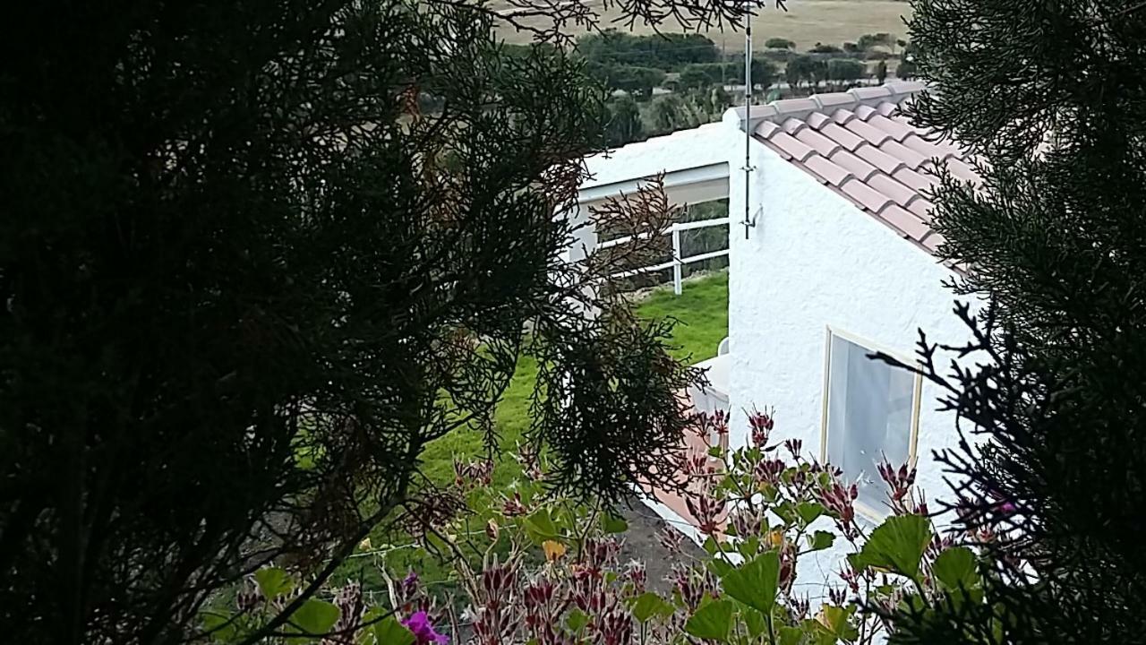 Agriturismo La Valletta Hotell Santa Teresa Gallura Eksteriør bilde