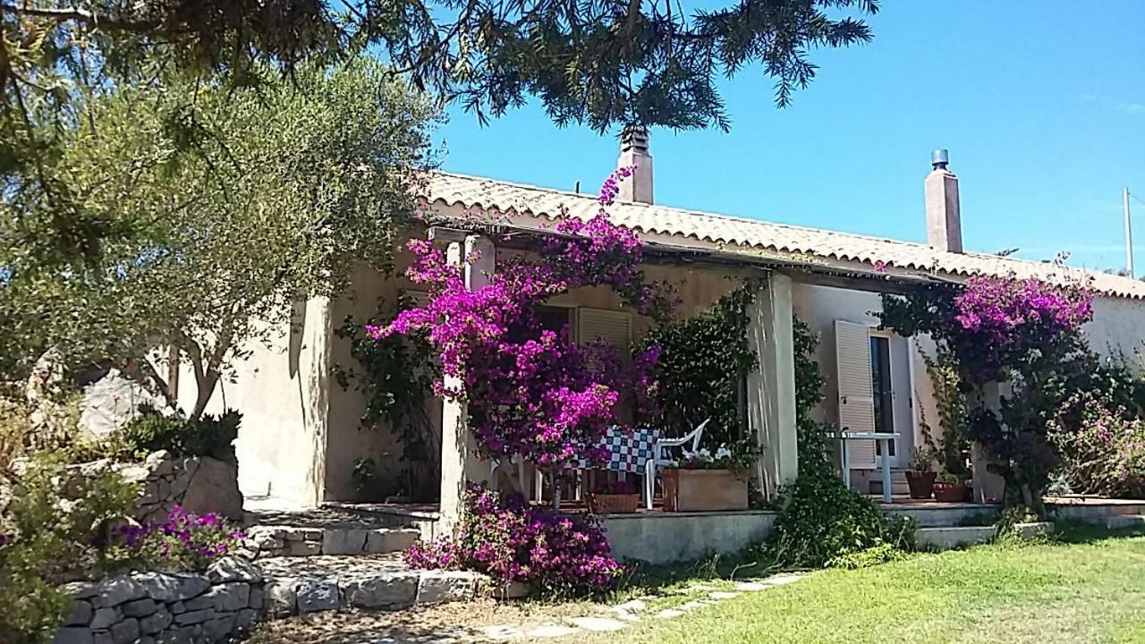 Agriturismo La Valletta Hotell Santa Teresa Gallura Eksteriør bilde