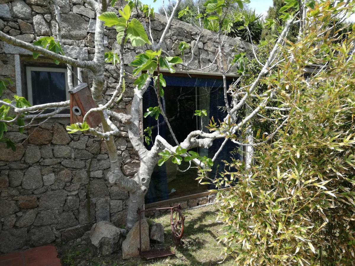 Agriturismo La Valletta Hotell Santa Teresa Gallura Eksteriør bilde